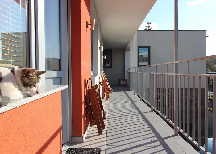 Impresja Władysławowo